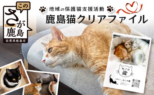 鹿島猫クリアファイル|保護猫カフェねこの蔵 クリアファイル 保護猫 猫 古民家カフェ 支援 鹿島市 猫カフェ カフェ プレゼント AA-63佐賀県鹿島市5000雑貨・日用品文房具