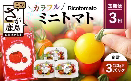 【3回定期便】【先行予約】 カラフルミニトマト 【少量パック】 120gx3p たにぐちファーム カラフルミニトマト 360g とりこになるトマト 野菜 とまと トマト リコピン 佐賀産 佐賀県 鹿島市