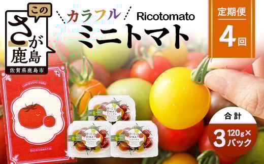 【4回定期便】【先行予約】 カラフルミニトマト 【少量パック】 120gx3p たにぐちファーム カラフルミニトマト 360g とりこになるトマト 野菜 とまと トマト リコピン 佐賀産 佐賀県 鹿島市
