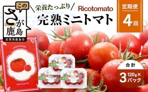 【4回定期便】【先行予約】【2026年1月から出荷】完熟ミニトマト 【少量パック】120gx3p たにぐちファーム 完熟ミニトマト 360g とりこになるトマト 野菜 とまと トマト リコピン 佐賀産 佐賀