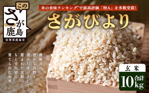 【鹿島市産】\生産者直送/ さがびより 玄米10kg さがびより 佐賀県産さがびより 佐賀県鹿島市 お米 米 精米 玄米 ふるさと納税 お米 ご家庭用米 主食ギフト 美味しいお米 お取り寄せ 贈