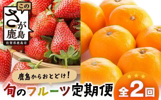 【定期便 2回】鹿島からお届けフルーツ定期便 佐賀美人(みかん)5kg・いちごさん240g×4パック| ふるさと納税 フルーツ 果物 定期便 定期 佐賀美人 いちごさん いちご みかん くだもの バラエ