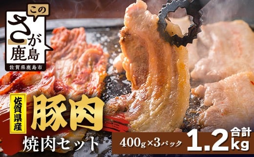 【配送月指定対応可】佐賀県産 豚肉 焼肉セット 400g×3(合計1.2kg)C-165 お肉 豚 肉 焼き肉 やきにく 年内発送 年末配送 ロース バラ スライス佐賀県鹿島市16000肉豚肉