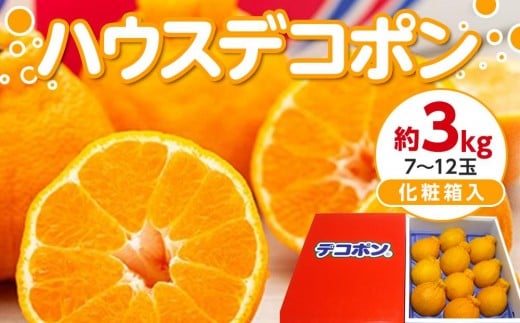 【12月上旬頃〜発送】ハウスデコポン 約3kg 化粧箱入 贈答用香川県さぬき市17000果物・フルーツみかん・柑橘類