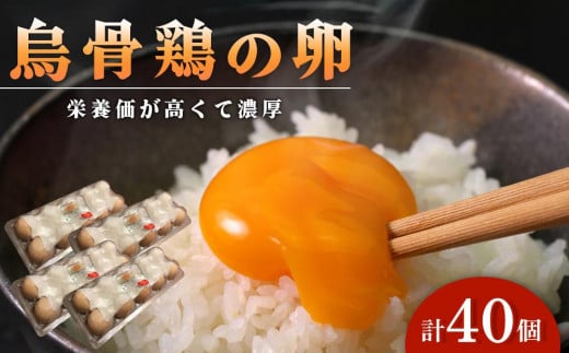 烏骨鶏卵 (烏骨鶏) 40個セット【卵 たまご 烏骨鶏 うこっけい 卵焼き ゆで卵 卵かけご飯 香川県 さぬき市】香川県さぬき市23000卵・乳製品卵(鶏、烏骨鶏等)