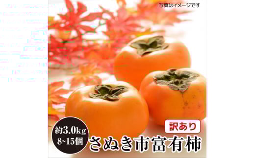 訳あり 富有柿 約3kg(約8個〜15個) 柿 かき 果物 フルーツ香川県さぬき市8000果物・フルーツその他 果物・フルーツ