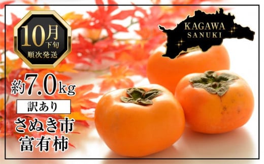 訳あり 富有柿 約7kg (約25個〜30個) 柿 かき 果物 フルーツ香川県さぬき市15000果物・フルーツその他 果物・フルーツ