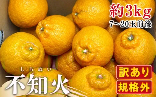 【2月下旬頃〜発送】訳あり 規格外 不知火 (しらぬひ) 約3kg香川県さぬき市10000果物・フルーツみかん・柑橘類