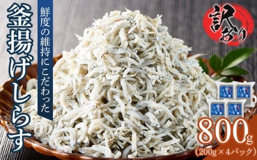 g 炷(󂠂) 800g(200g×4P) yVX 炷 Y Y Ⓚ   쌧 ʂsz쌧ʂs9000ECY̑ ECY