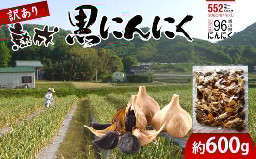 訳あり 熟成 黒にんにく 約600g香川県さぬき市16000野菜・きのこその他 野菜
