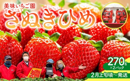 【2月上旬頃〜発送】美味いちご園「さぬきひめ」さぬきひめ 270g×2パック香川県さぬき市10000果物・フルーツいちご