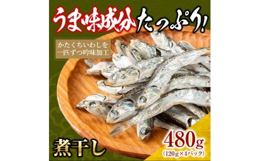 煮干し 480g(120g×4)【小分け セット いわし 鰯 カタクチイワシ 人気 出汁 おやつ おつまみ 香川県 さぬき市】香川県さぬき市10000調味料・油だし