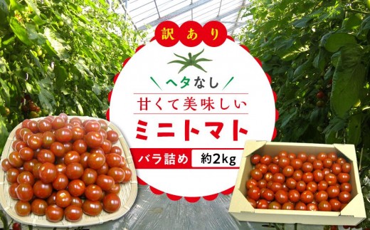 【3月下旬頃〜発送】訳あり 規格外 ミニトマト 約2kg香川県さぬき市9000野菜・きのこトマト