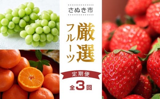 【全3回】さぬき市厳選フルーツ定期便香川県さぬき市42000果物・フルーツいちご