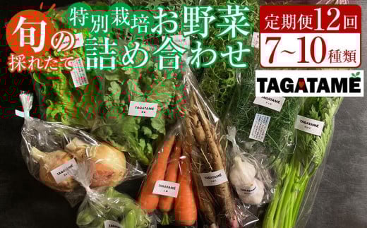 【定期便全12回】旬の採れたて 7〜10種類お野菜詰め合わせセット(1〜2名様) TAGATAME タガタメ【野菜 特別栽培  有機野菜 農薬不使用 旬 無農薬】香川県さぬき市100000野菜・きのこその他 野菜