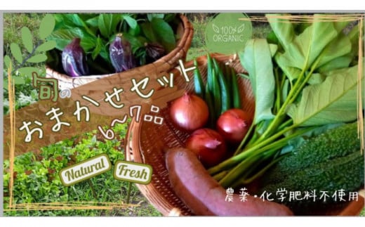 【農薬・化学肥料不使用】旬のお野菜おまかせセット 6〜7品香川県さぬき市8000野菜・きのこその他 野菜