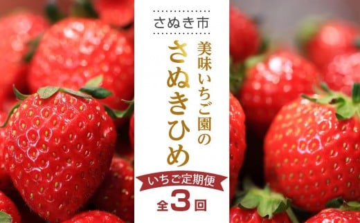【全3回】美味いちご園のさぬきひめいちご定期便香川県さぬき市32000果物・フルーツいちご