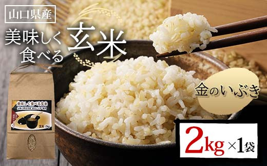 <先行予約>美味しく食べる玄米 2kg 玄米 金のいぶき 定期便 ご当地 グルメ 食品 F6L-1088山口県山陽小野田市8000米・パン玄米・雑穀米・もち米・餅