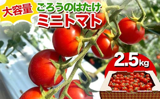 e 낤̂͂ ~jg}g 2.5kg x Z g}g T_ Rzc F6L-645RRzcs15000؁Êg}g