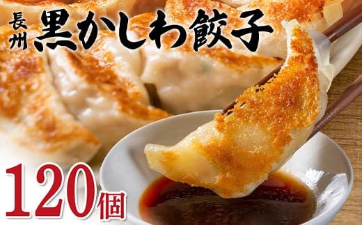 長州黒かしわ餃子 120個入り 手作り 生餃子 餃子 国産野菜  冷凍 化学調味料不使用 化学調味料無添加 らいちの餃子 黒かしわ 長州黒かしわ F6L-953山口県山陽小野田市15000鍋セット・総菜・加