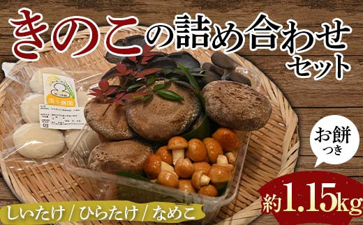 【先行予約】きのこの詰め合わせセットお餅つき(約1,150g)  農家直送 しいたけ ひらたけ なめこ お餅 ご当地 グルメ 食品  F6L-1139山口県山陽小野田市8000野菜・きのこきのこ