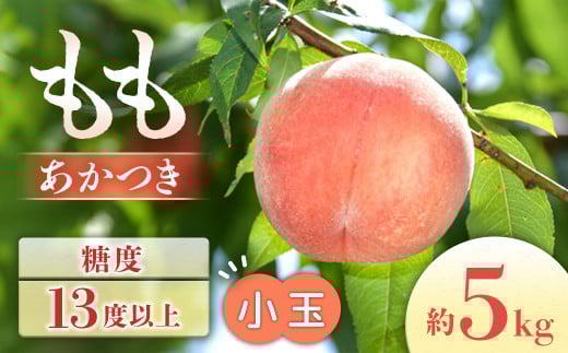 【2026年発送先行予約】桃 あかつき 約5kg【小玉 20〜22玉】 ※2026年7月下旬〜8月初旬発送予定※長野県豊丘村16000果物・フルーツもも・すもも