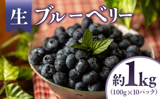 y2026Ns\zu[x[@1kgi100g×10pbNj2026N6{`7{\聦쌧Lu13000ʕEt[c̑ ʕEt[c