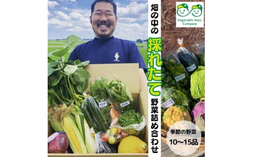 yVegetable boys Companyz̒̍̂ꂽĖ؋lߍ킹Zbgʌɓޒ14000؁Ê̑ 