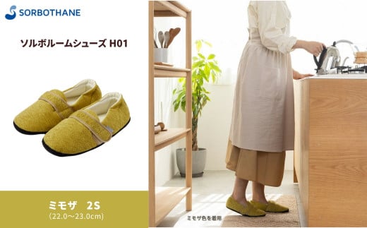 y\{ZCz\{ [V[Y H01 m~U / 2Sn 22.0cm ` 23.0cmʌɓޒ36000ߗށEiEH|iCE