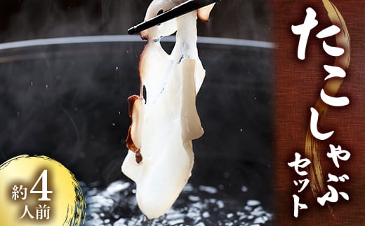 ^RԃZbg@4lOy1372887zsRs38000ZbgE؁EHHiJ[EV`[