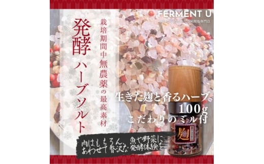 発酵ハーブソルト 米麹の生きた菌とハーブの力で健やかに新感覚の発酵調味料 100g<専用ミル付>【1659815】東京都東村山市11000調味料・油塩・胡椒・砂糖
