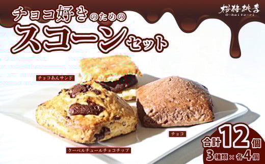 チョコ好き スコーンセット 3種12個セット | スコーン チョコスコーン クーベルチュルチョコチップスコーン チョコあんサンドスコーン チョコ チョコレート カカオ 手作り お菓子 セット 詰
