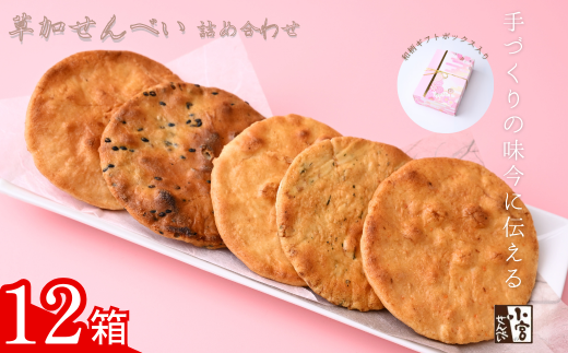 草加せんべい ギフトボックス 12箱【小宮せんべい本舗】 | せんべい 煎餅 草加せんべい 草加煎餅 そうかせんべい 炭火手焼き 手焼き 炭火 手焼き 伝統製法 お菓子 和菓子 おいしい おすすめ