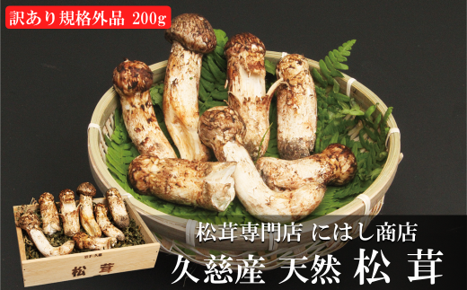 u󂠂FKiOivyGߌzvYVR 200茧vs45000؁Ê̂