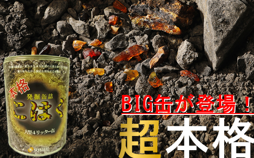y߂̍̌@̌IHz{iuBIGʋlv̌@̌ʃZbg茧vs38000G݁EpiEʂ