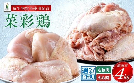 y11z茧Y u؍ʌ{v Aނ˓SkgZbgie1kg×2 v4kgjY { uh {  ނ JbgȂ Iׂ  Ⓚ e Ɩp `L 1.0kg v 4.0kg {