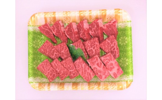 ttn160y[Xēpi260jmy15000