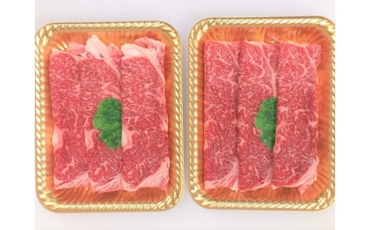 ttn166y[XXCXi490jmy30000