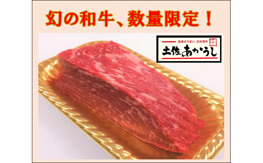 ttn169yۯi550jmy30000