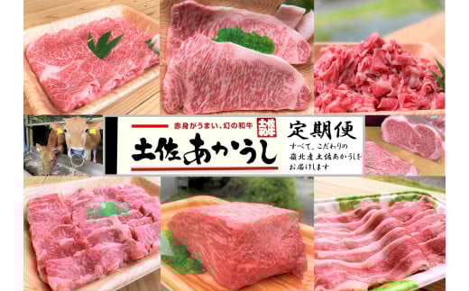 tthn7̘aIyցi6R[Xjmy150000