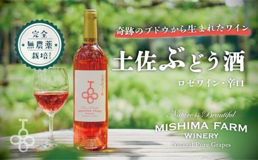 土佐ぶどう酒 ロゼ高知県土佐町25000酒・アルコールワイン