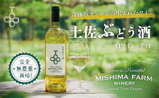 土佐ぶどう酒 白高知県土佐町25000酒・アルコールワイン