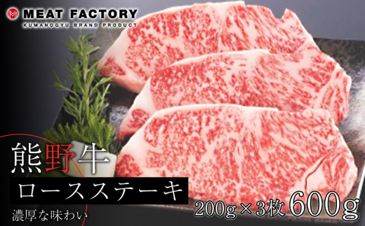 F싍 [XXe[L@600gyMT1za̎Ra̎Rs26000
