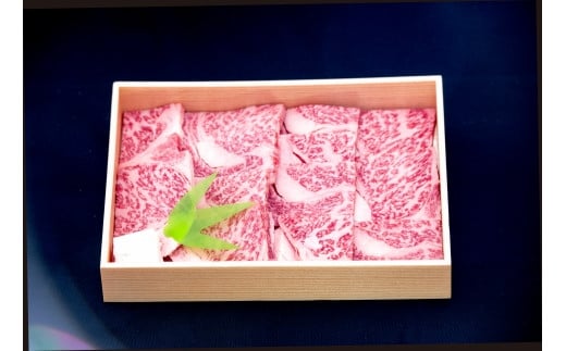 ynuhzF싍-Xē 500ga̎Ra̎Rs33000