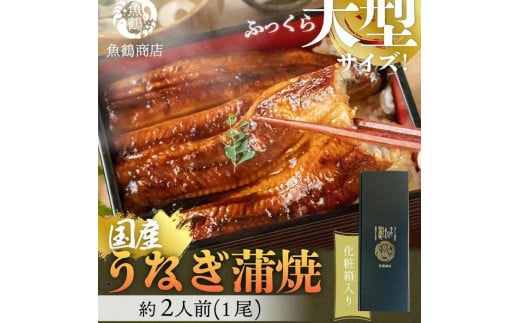 ^TCY @ӂ_炩YȂĂ@1i2lOjϔa̎Ra̎Rs13000ECYȂ