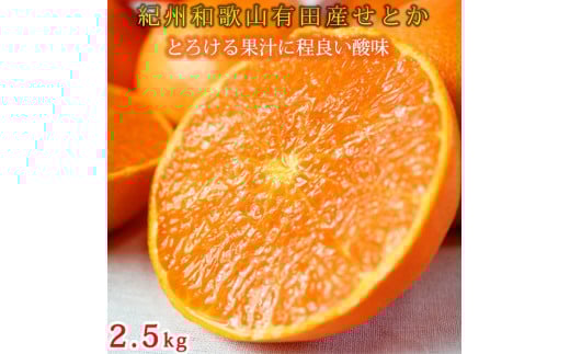 紀州有田産せとか約2.5kg とろける食感!ジューシー柑橘【2026年2月上旬以降発送】【先行予約】【UT02】和歌山県和歌山市18500果物・フルーツみかん・柑橘類