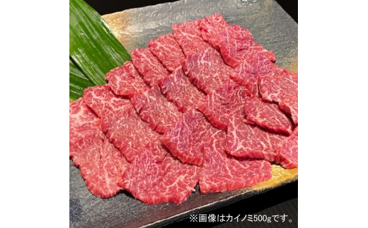 F싍 󏭕 JCm~܂̓TT~ ēp 500gyMT41za̎Ra̎Rs20000