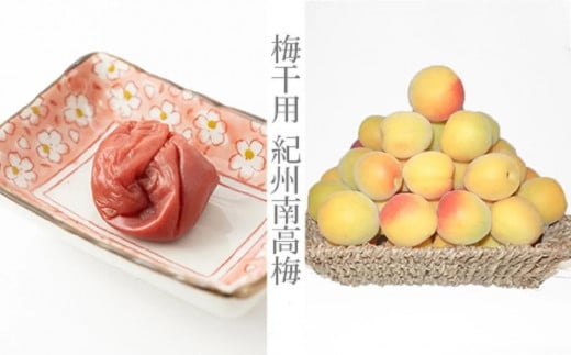 m~E~pni2L܂L|2Kgjn썂~2026N6{`77\聄t[c ʕ  Hi lC  mART04na̎Ra̎Rs20000ʕEt[c̑ ʕEt[