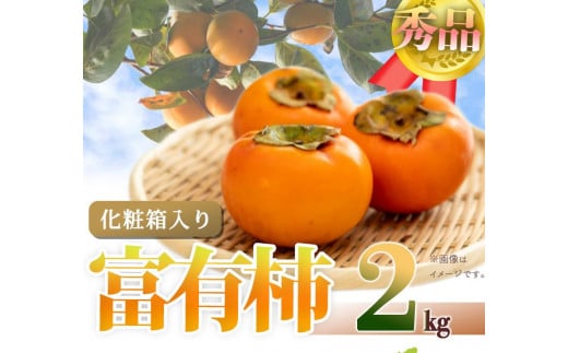 和歌山秋の味覚 富有柿 約2kg化粧箱入「2025年11月上旬以降発送予定」【UT49】和歌山県和歌山市12000果物・フルーツその他 果物・フルーツ