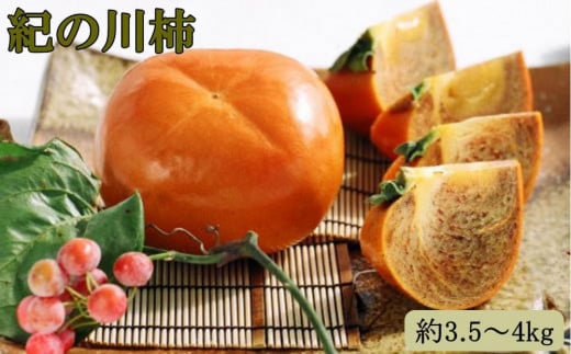 y󏭁zI̐`3.5`4kgi햳jGIi2025N10{菇yTM12za̎Ra̎Rs18500ʕEt[c̑ ʕEt[c